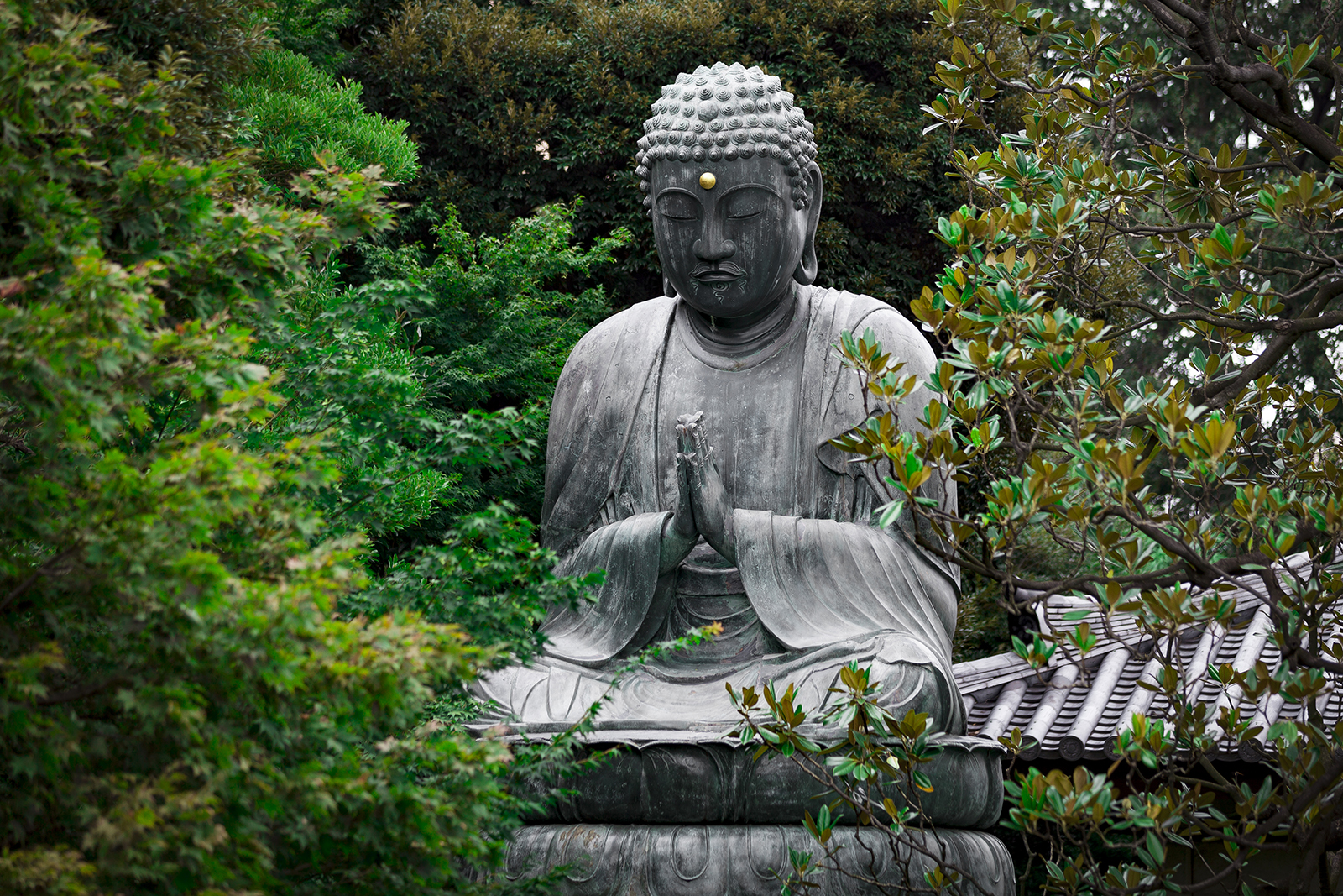 Yanaka - Tennoji Temple